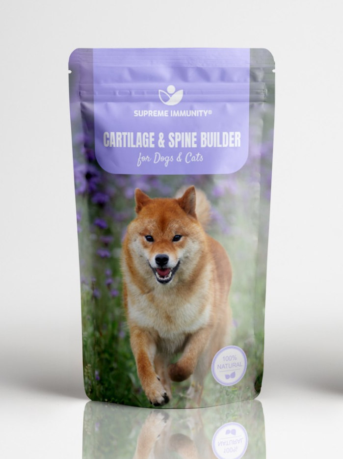 CARTILAGE & SPINE BUILDER