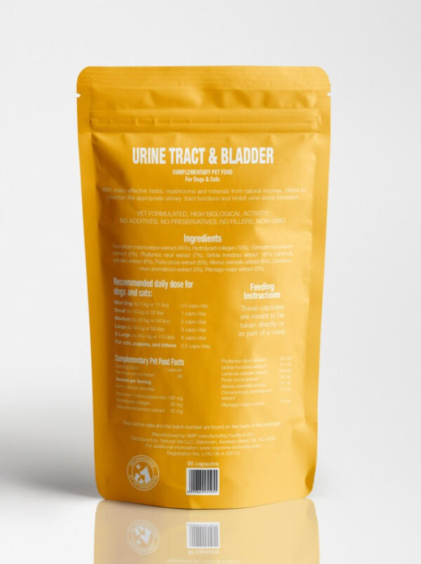 URINE TRACT & BLADDER - Image 2