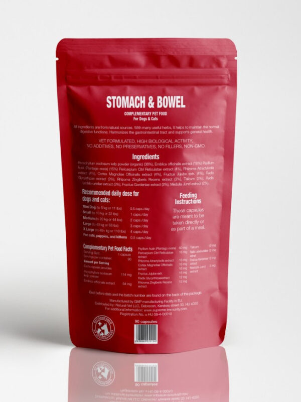 Stomach and Bowel - Image 2