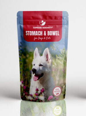 Stomach and Bowel