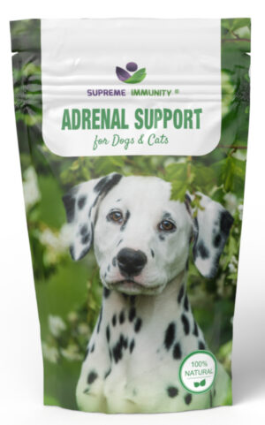 Adrenal Support for Pets Package